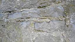 acastle
                          104830.jpg